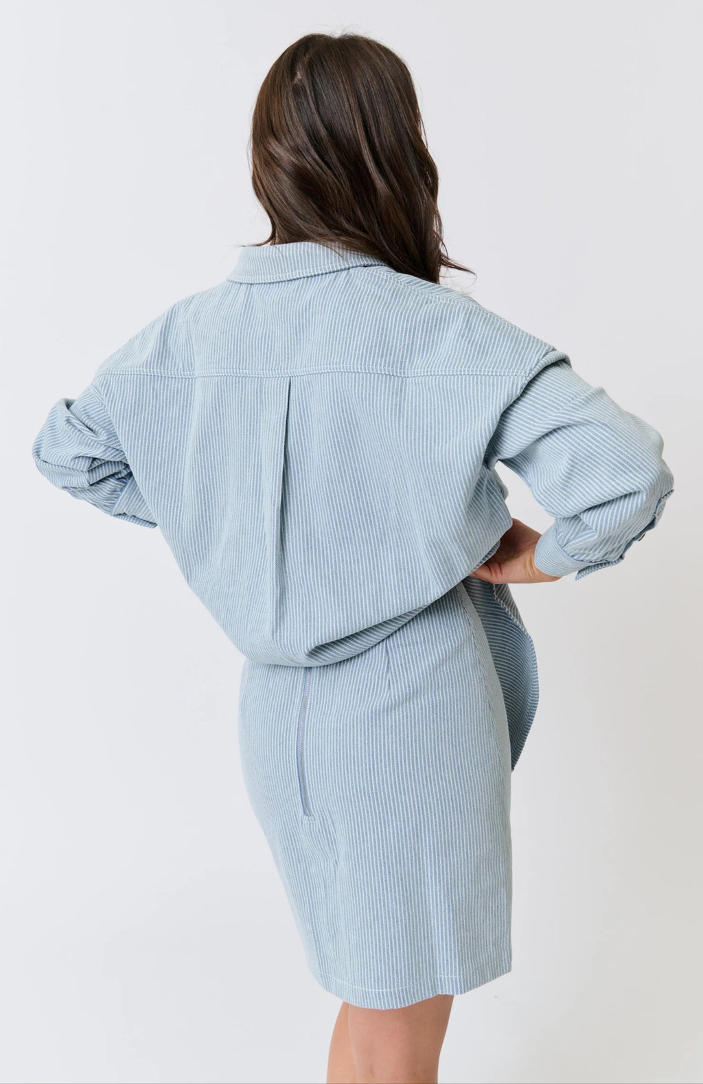 Zyla Mini Skirt - Stripe Denim