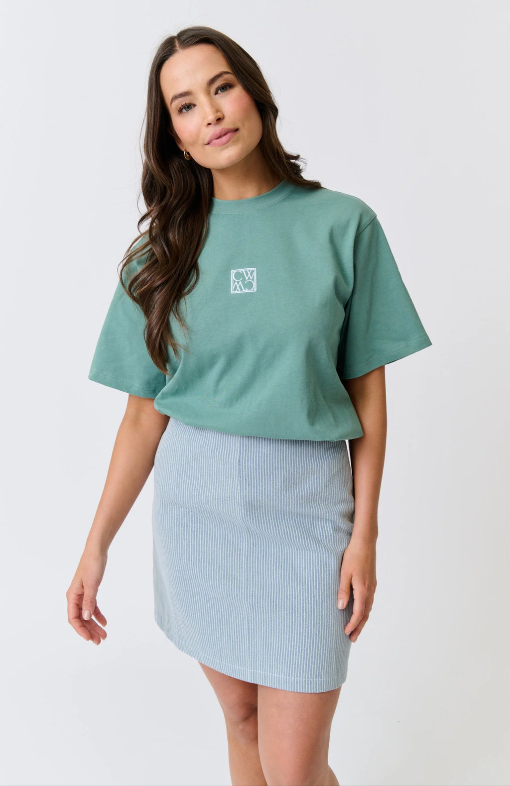 Zyla Mini Skirt - Stripe Denim