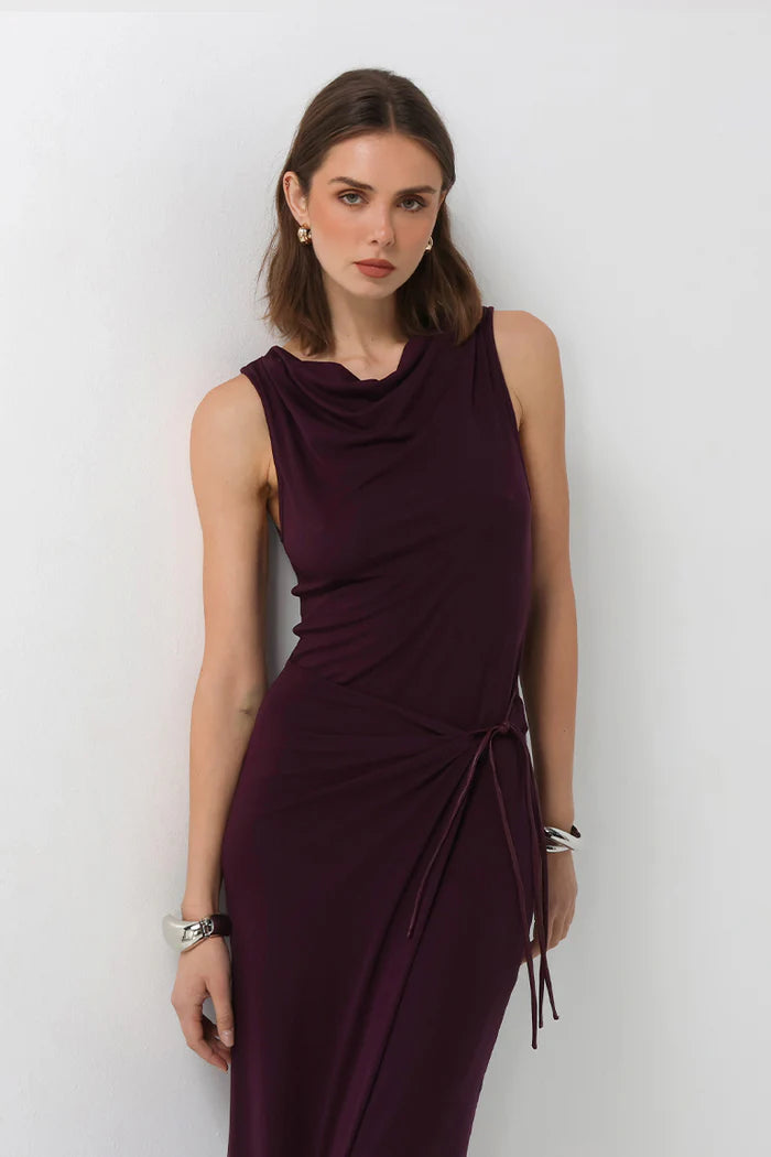 Evelina Maxi Dress - Plum